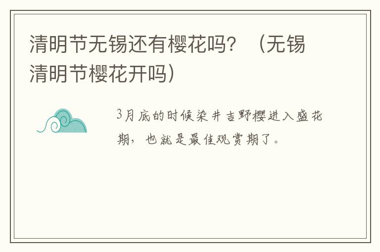 清明节无锡还有樱花吗？（无锡清明节樱花开吗）