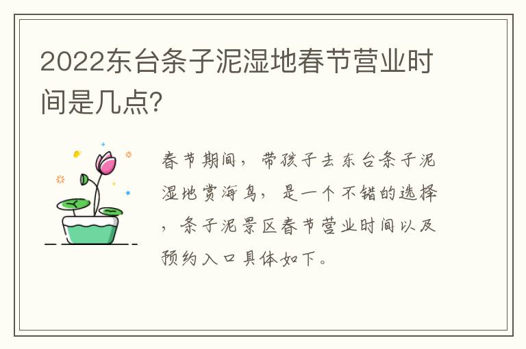 2022东台条子泥湿地春节营业时间是几点？