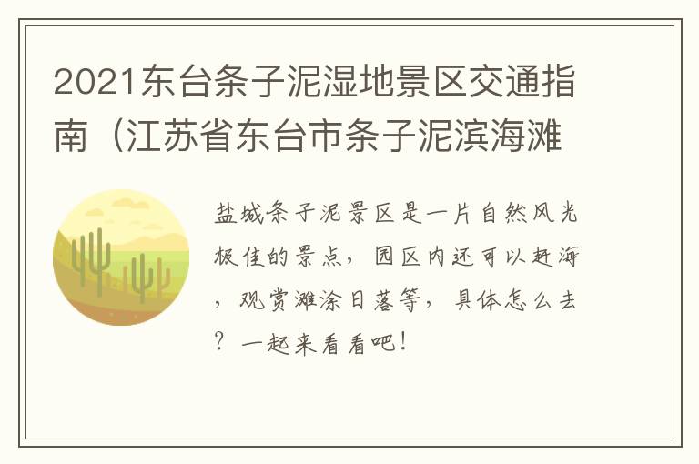 2021东台条子泥湿地景区交通指南（江苏省东台市条子泥滨海滩涂湿地）