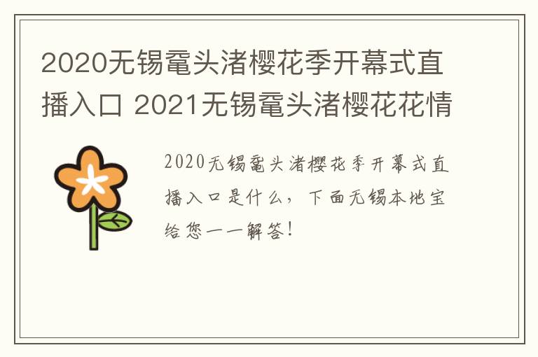 2020无锡鼋头渚樱花季开幕式直播入口 2021无锡鼋头渚樱花花情预报