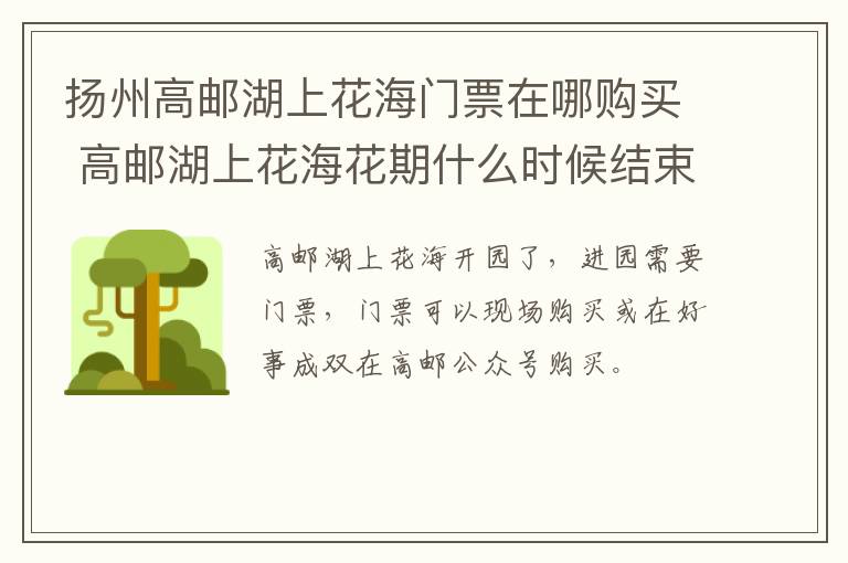 扬州高邮湖上花海门票在哪购买 高邮湖上花海花期什么时候结束