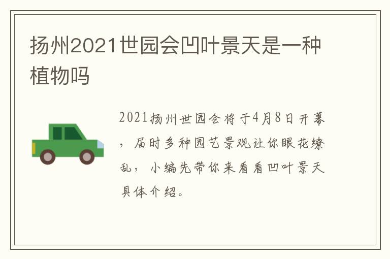 扬州2021世园会凹叶景天是一种植物吗