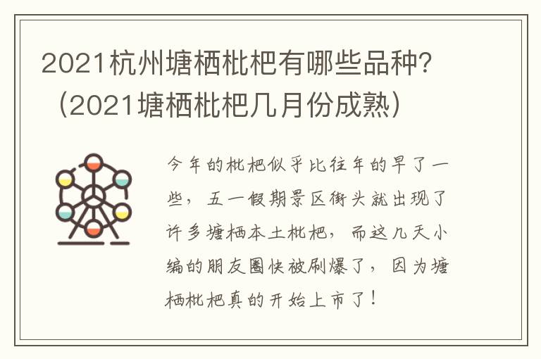 2021杭州塘栖枇杷有哪些品种？（2021塘栖枇杷几月份成熟）