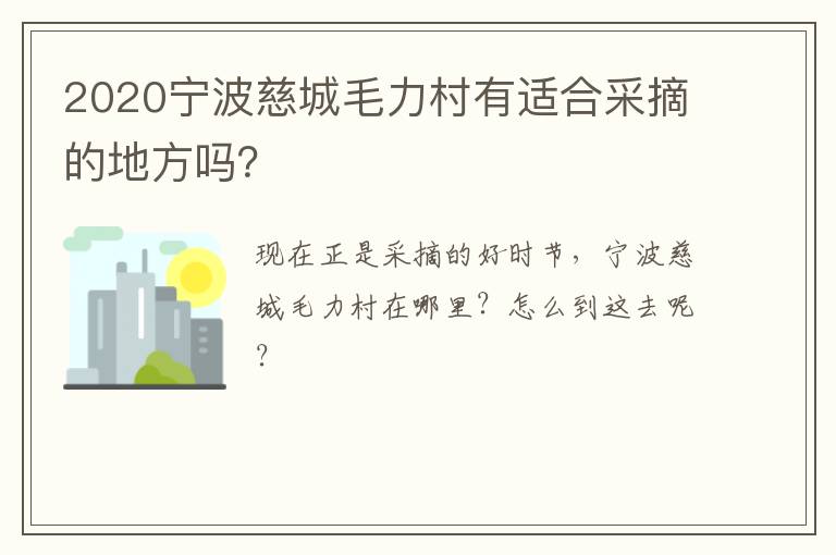 2020宁波慈城毛力村有适合采摘的地方吗？