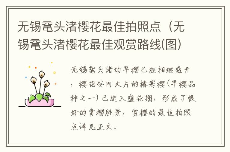 无锡鼋头渚樱花最佳拍照点（无锡鼋头渚樱花最佳观赏路线(图）