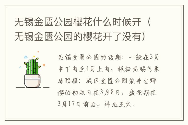 无锡金匮公园樱花什么时候开（无锡金匮公园的樱花开了没有）