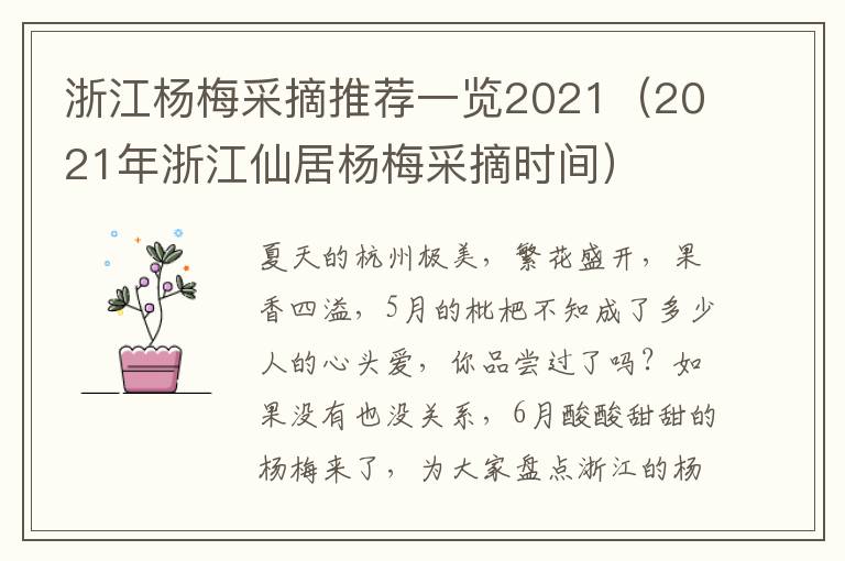 浙江杨梅采摘推荐一览2021（2021年浙江仙居杨梅采摘时间）