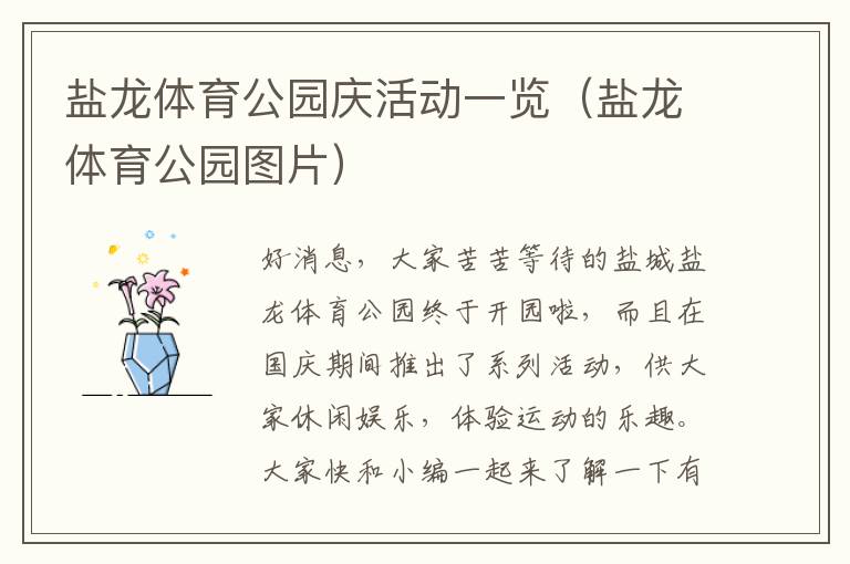 盐龙体育公园庆活动一览（盐龙体育公园图片）