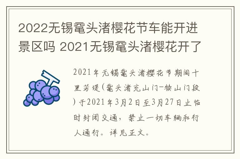 2022无锡鼋头渚樱花节车能开进景区吗 2021无锡鼋头渚樱花开了吗