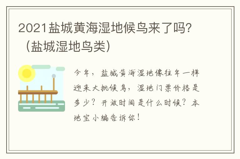 2021盐城黄海湿地候鸟来了吗？（盐城湿地鸟类）