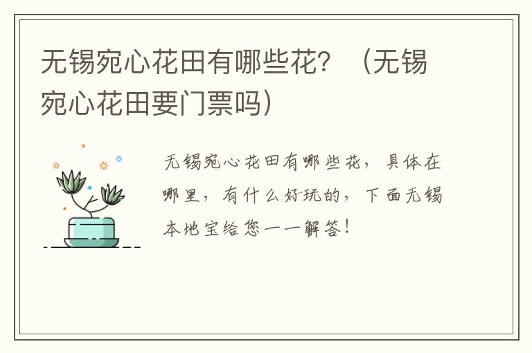 无锡宛心花田有哪些花？（无锡宛心花田要门票吗）