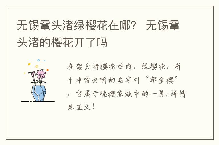 无锡鼋头渚绿樱花在哪？ 无锡鼋头渚的樱花开了吗