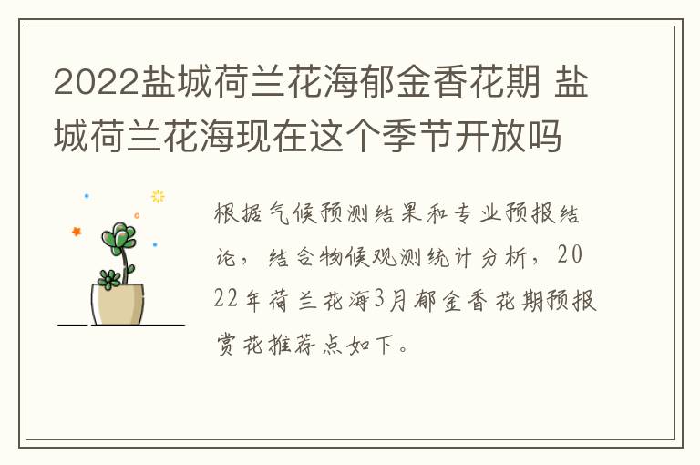 2022盐城荷兰花海郁金香花期 盐城荷兰花海现在这个季节开放吗