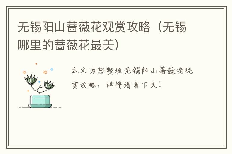 无锡阳山蔷薇花观赏攻略（无锡哪里的蔷薇花最美）