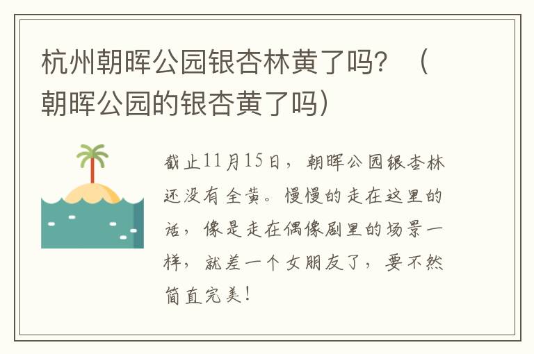 杭州朝晖公园银杏林黄了吗？（朝晖公园的银杏黄了吗）