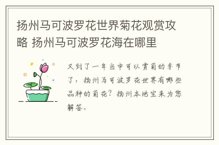 扬州马可波罗花世界菊花观赏攻略 扬州马可波罗花海在哪里