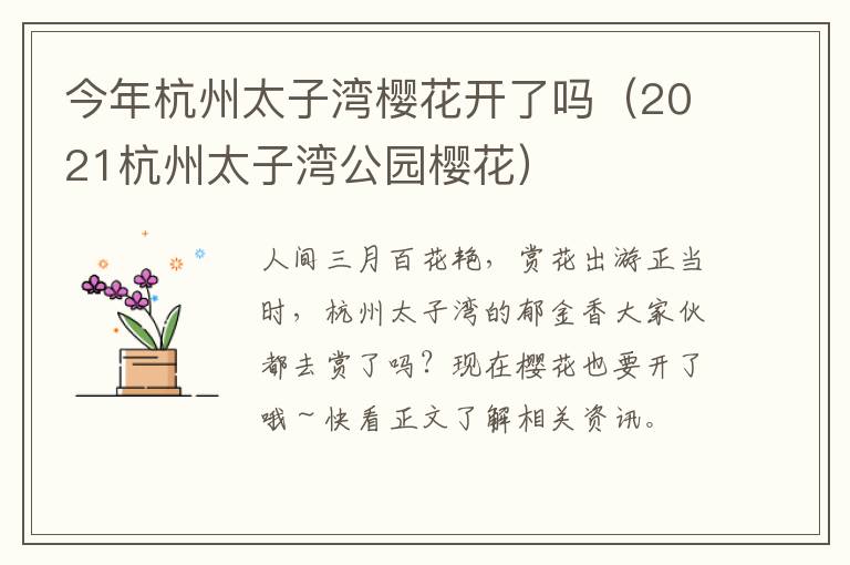 今年杭州太子湾樱花开了吗（2021杭州太子湾公园樱花）