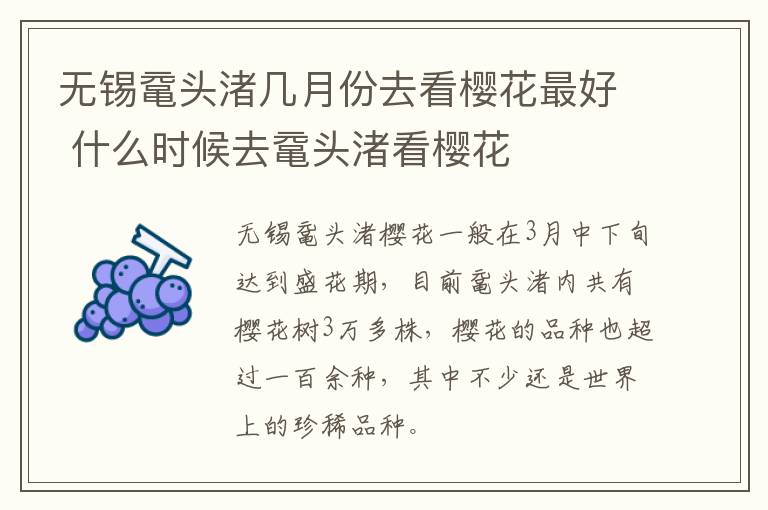 无锡鼋头渚几月份去看樱花最好 什么时候去鼋头渚看樱花