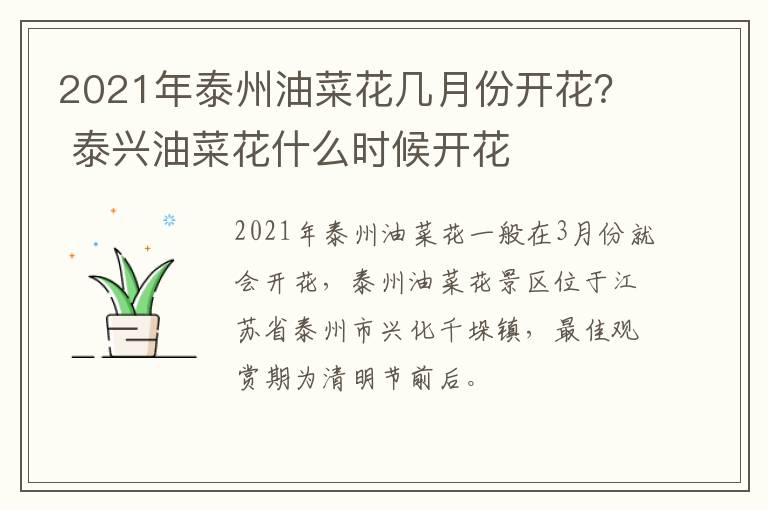 2021年泰州油菜花几月份开花？ 泰兴油菜花什么时候开花