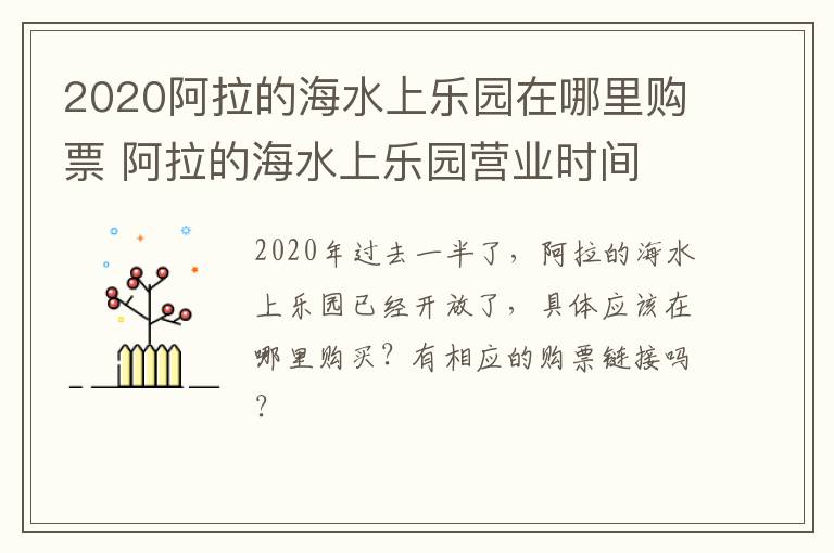 2020阿拉的海水上乐园在哪里购票 阿拉的海水上乐园营业时间