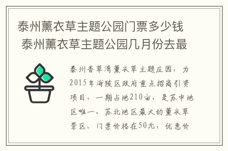 泰州薰衣草主题公园门票多少钱 泰州薰衣草主题公园几月份去最好