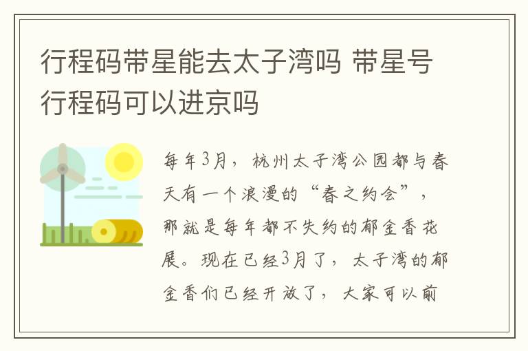 行程码带星能去太子湾吗 带星号行程码可以进京吗