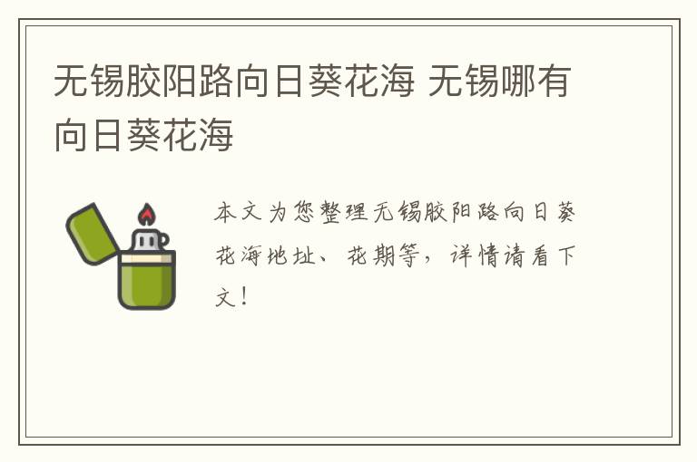 无锡胶阳路向日葵花海 无锡哪有向日葵花海