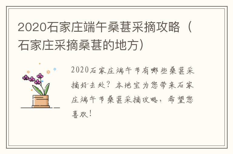 2020石家庄端午桑葚采摘攻略（石家庄采摘桑葚的地方）