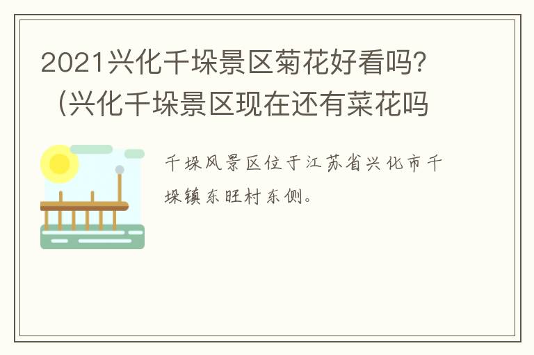 2021兴化千垛景区菊花好看吗？（兴化千垛景区现在还有菜花吗）