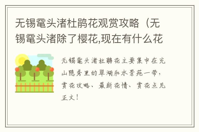 无锡鼋头渚杜鹃花观赏攻略（无锡鼋头渚除了樱花,现在有什么花）