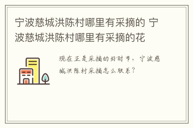 宁波慈城洪陈村哪里有采摘的 宁波慈城洪陈村哪里有采摘的花