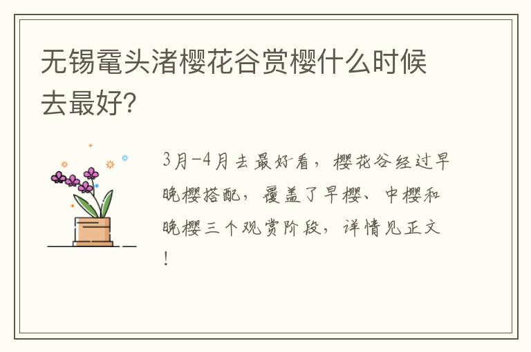 无锡鼋头渚樱花谷赏樱什么时候去最好？